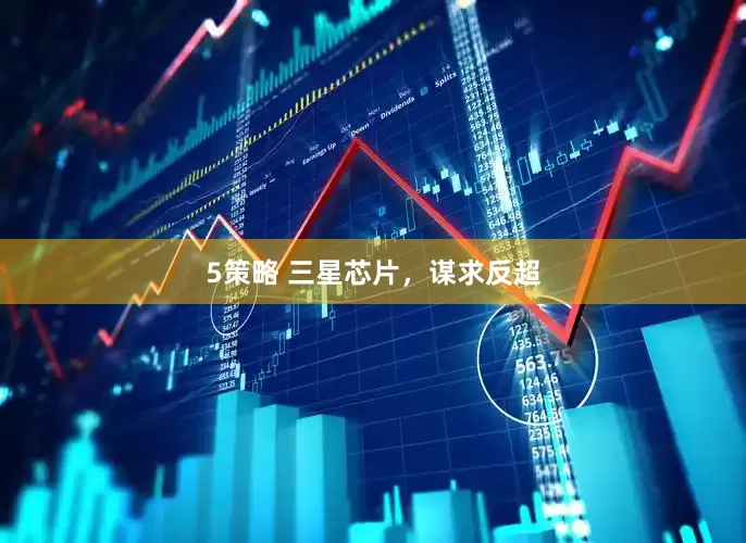 5策略 三星芯片，谋求反超