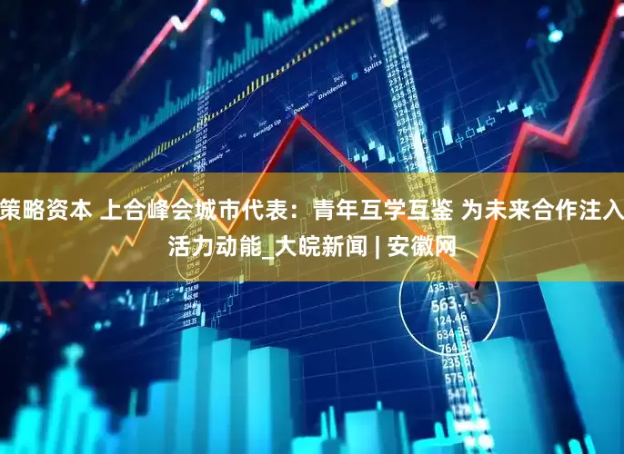 策略资本 上合峰会城市代表：青年互学互鉴 为未来合作注入活力动能_大皖新闻 | 安徽网
