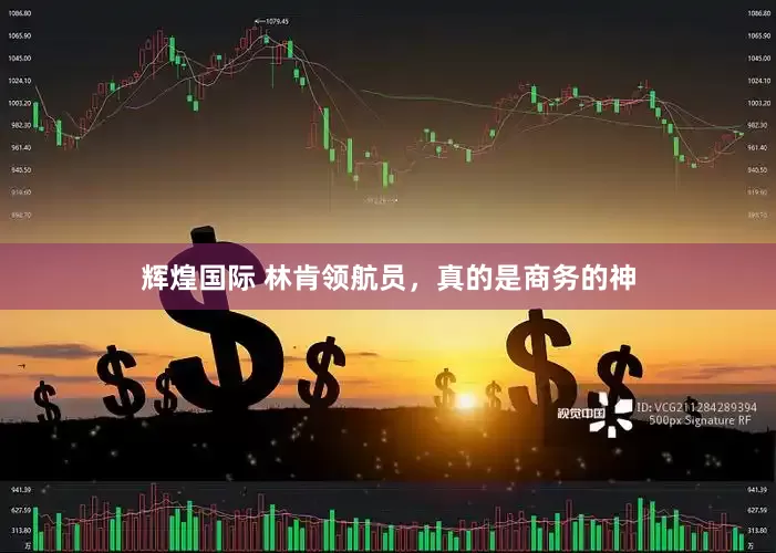 辉煌国际 林肯领航员，真的是商务的神