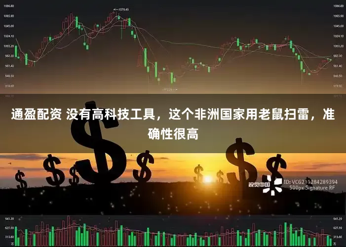 通盈配资 没有高科技工具，这个非洲国家用老鼠扫雷，准确性很高